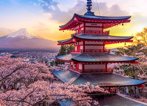 Why You Should Visit Japan Beyond Cherry Blossoms